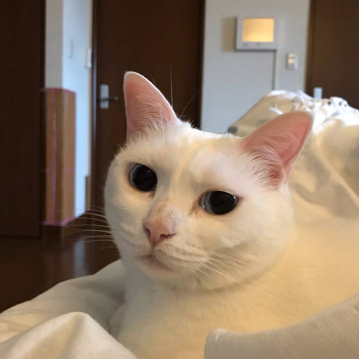 435b2103 f8d3 498b 8cb8 d0fea54be146 1556580147736