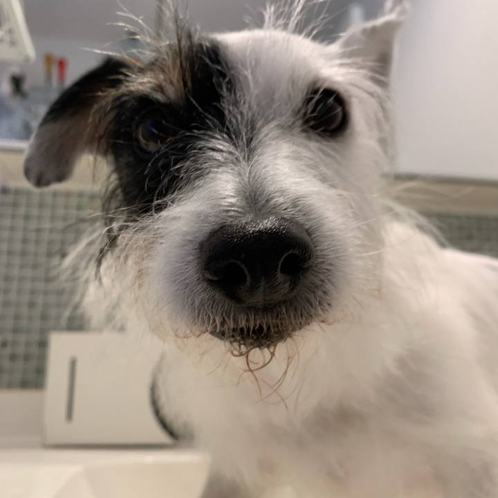 435b7440 203d 492e 91c0 e55da8c85daa 1735429409322