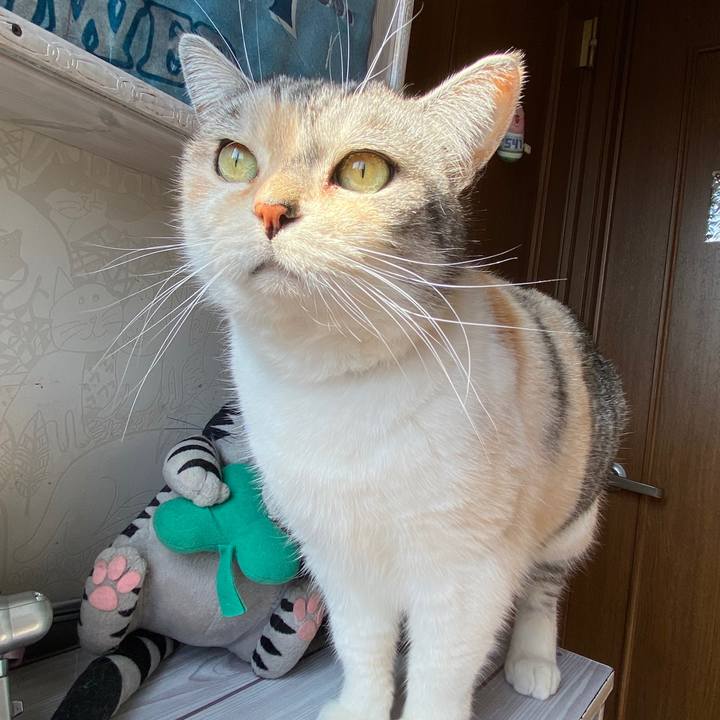 435b82f9 0320 4a80 a975 d7096605ffef 1582083565954