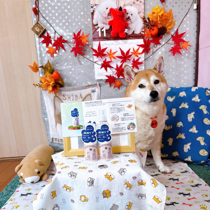 435b9605 b37d 4081 a2c4 59ed656cd4e4 1698813195505