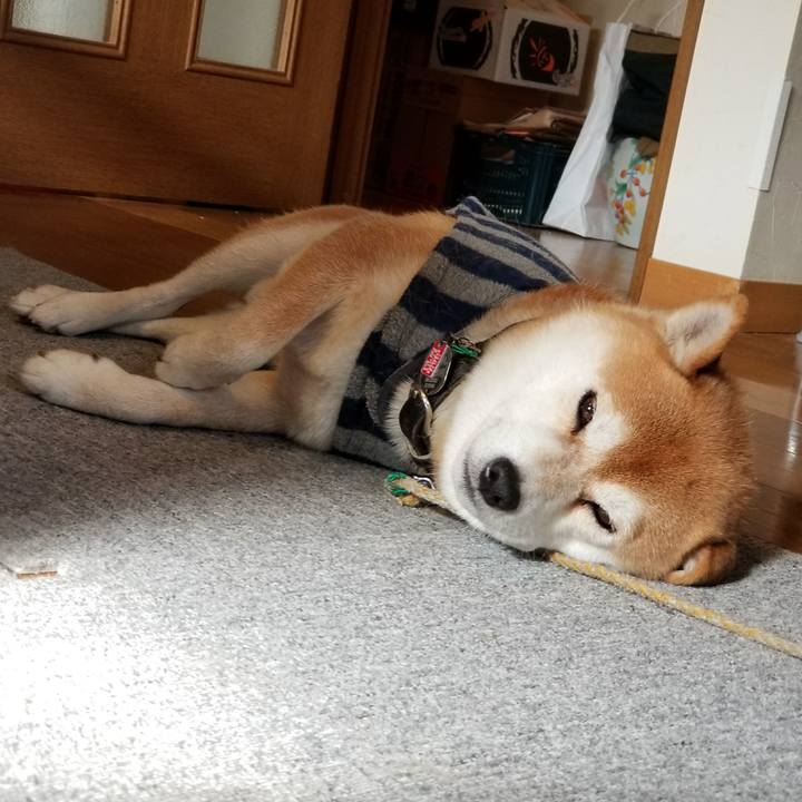 435bb4a8 89f6 4d57 943d 463effd623ac 1512630090485