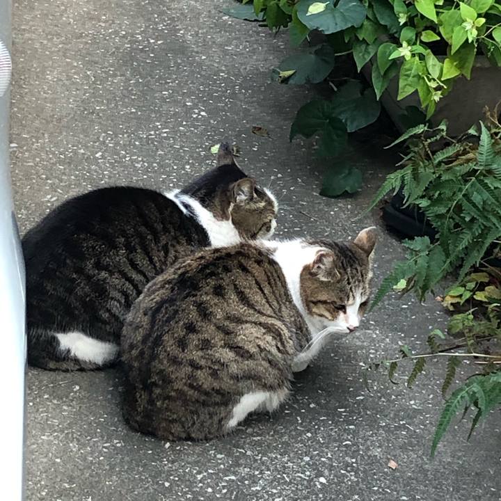 435bcbba 81f9 4940 bbcd 50b5410fa417 1544164316886