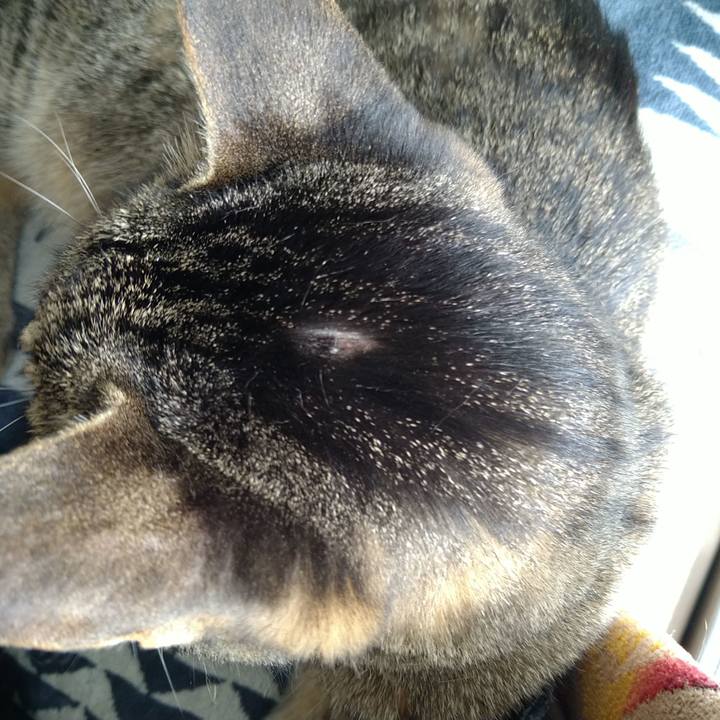 435bd0cb ec5d 4861 a94f b81be1ad0b6c 1723876167290