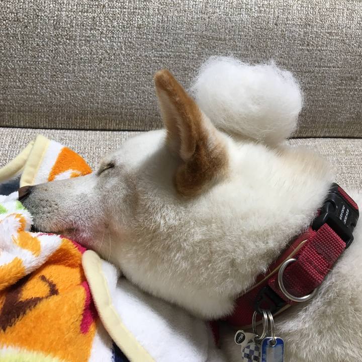 435c07f6 e959 4c6e ad1f 8671c59056b1 1539255016811