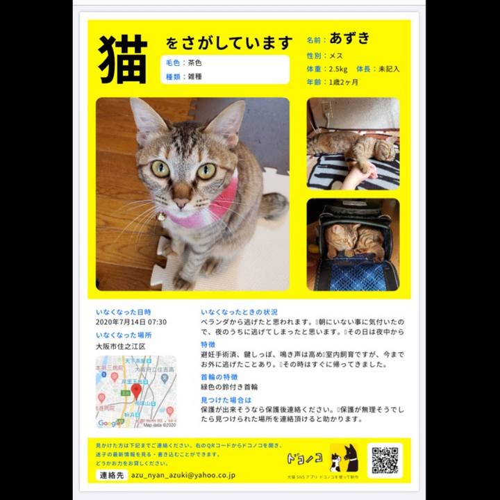 435c14c9 3401 477c 94ac bf32917ed010 1595125762979