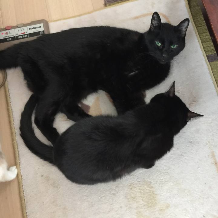 435c1752 24f0 482f 8ecd 6bbc1538aa2f 1553326342959