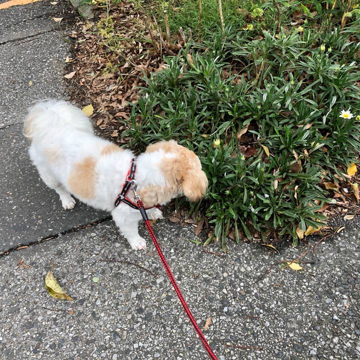 435c3450 e62d 4bdd 814e d77cd5181949 1601416276171