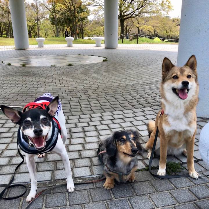 435c74d0 a962 472e b83d 3db650a4c40e 1555829844086