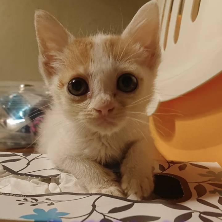 435c932b 4e27 4043 b21b 41c250f8299d 1769444232864