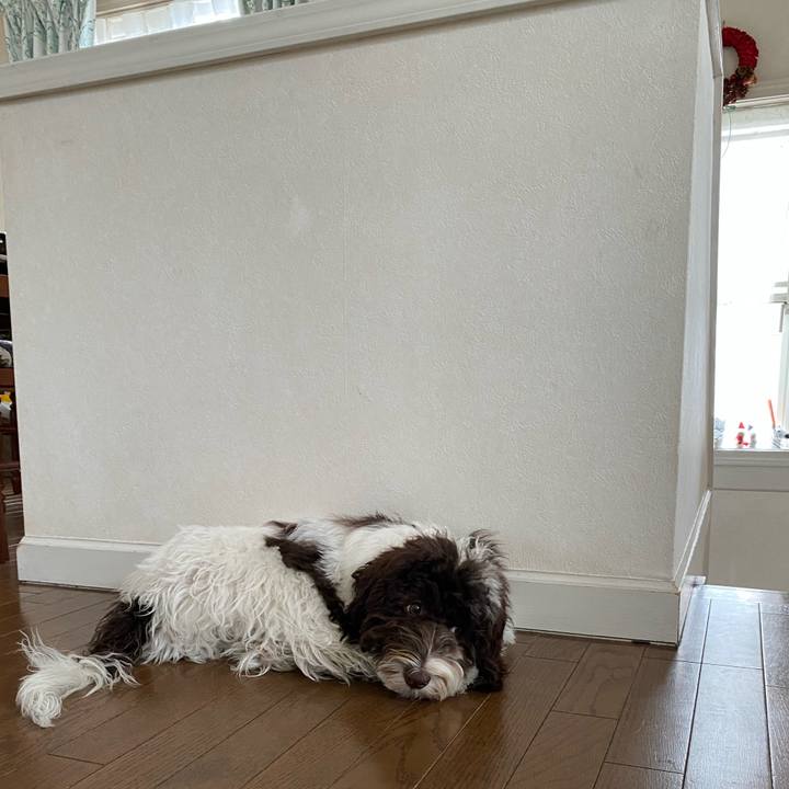 435cc113 40a0 4409 839c 030499e3cc9d 1619663225475