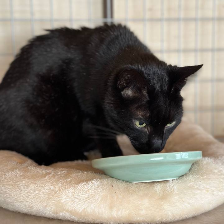 435cc70c 0ac3 4ab9 a2c4 099ec19923db 1677981507414