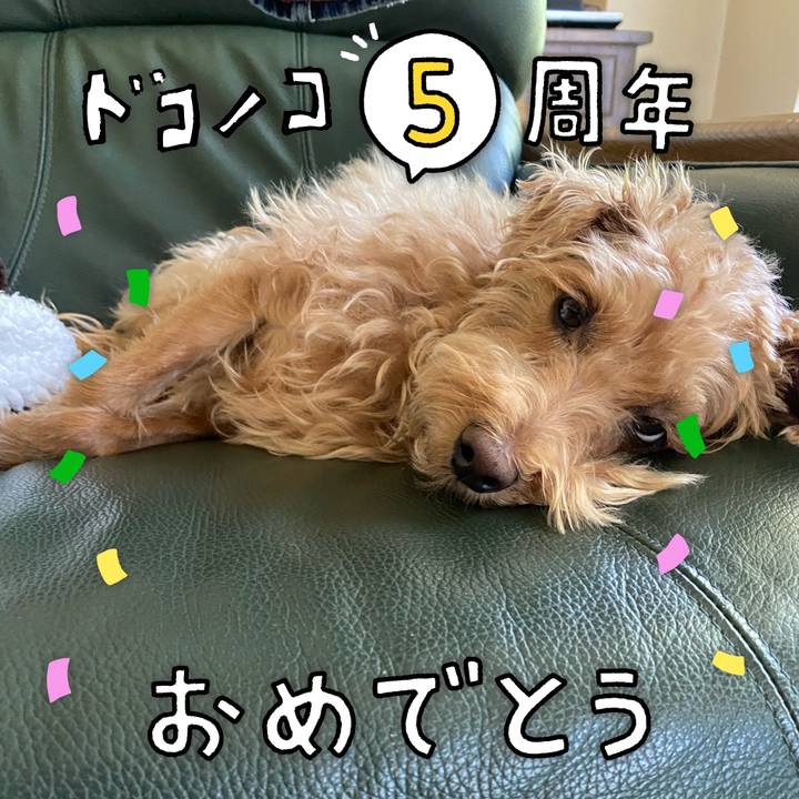 435cda54 9c12 4d4d 8033 8aad848e71b8 1623283383964