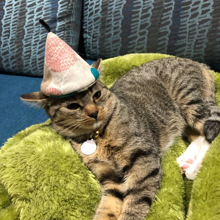 435ce6e3 264d 4303 baf4 f789647bfe36 1560240510940