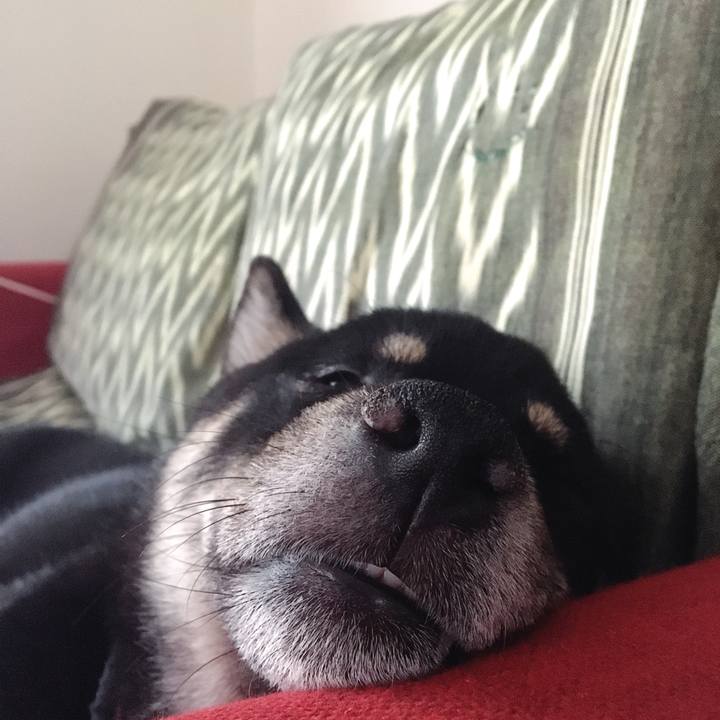 435cf3ea 7465 4415 b722 22ae451b31aa 1528695857400