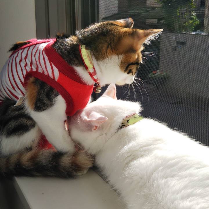 435d0115 d5c0 43d3 bcc5 16cdcad6fdc0 1634190651094