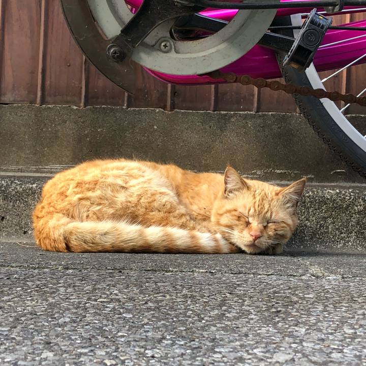 435d7574 5fd6 4db4 b58c ffb93bce64c9 1523522433724