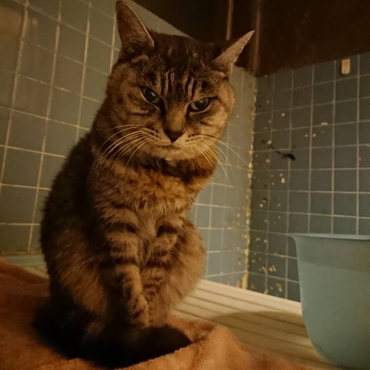 435dabfb d13e 40b8 aa24 584e3cfc0b39 1573810178673