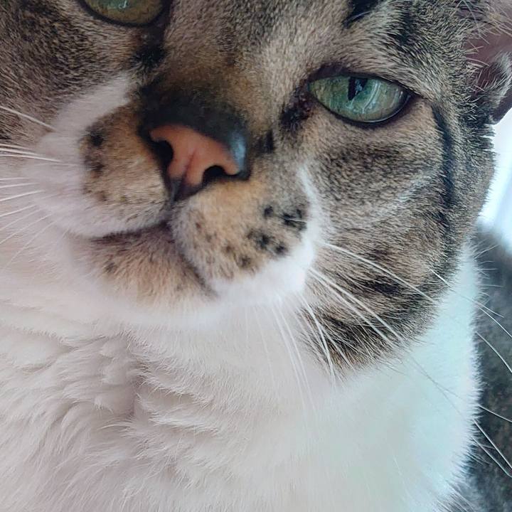 435dc8f6 8168 4256 87cc c6b01d517e15 1589591873971