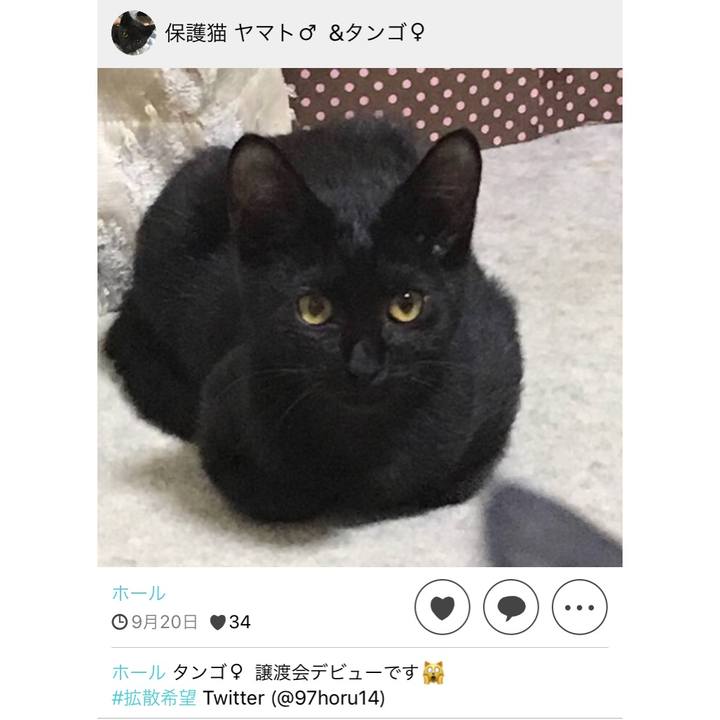 435df20a 3427 46d9 aeb6 d398f0f80038 1537540746592