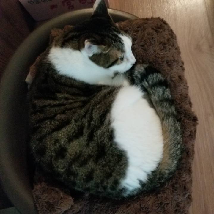 435e42ee 50b5 4326 9201 416f1cd114c9 1603921322369