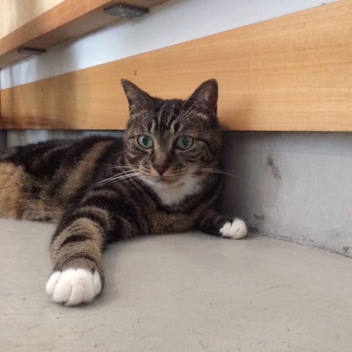 435e508a 0194 401a 89f8 1d1f546b91f1 1532439021681