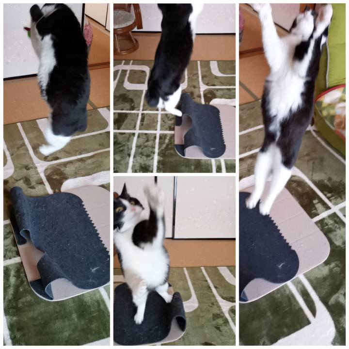 435e5f9a cff9 4ebf b6ea 8b7548010307 1613809344341