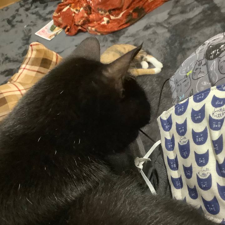 435e6f91 2ed3 4a7e 83e2 e8c0941efd36 1586528004986