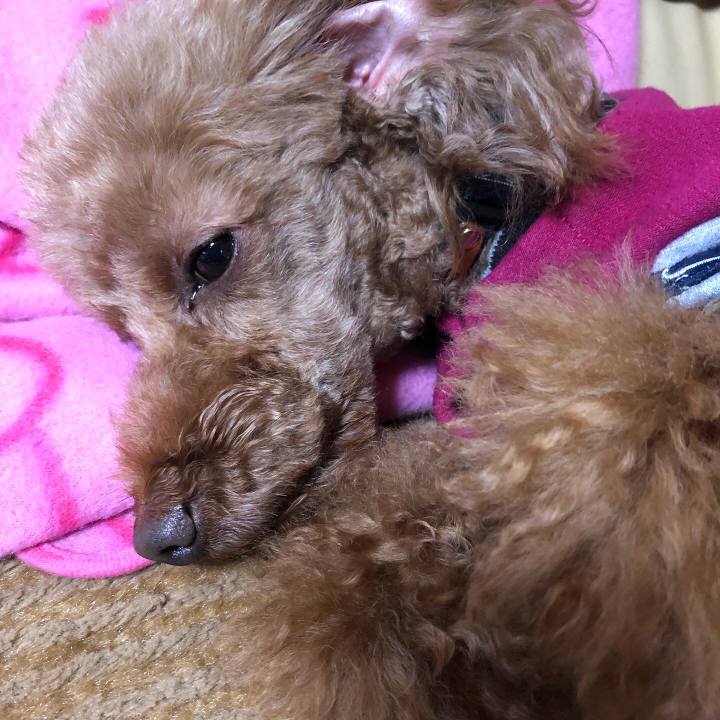 435ea169 00d6 4df5 934e e4d282bfcca2 1578909567627