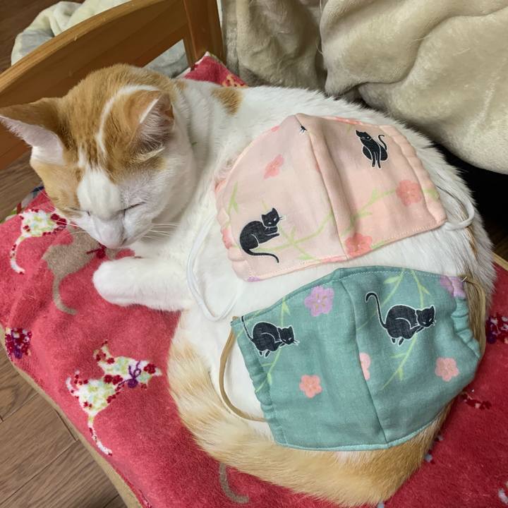 435ea905 ed88 4ba8 b011 3dbb9065a5d5 1584201549283