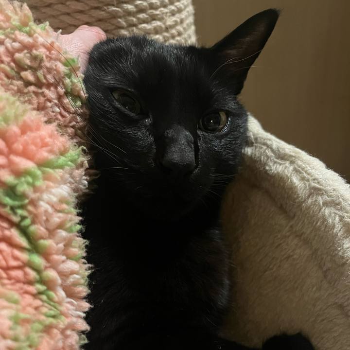 435eaaba dcb3 4628 ad1b 35ccf81e844d 1737630256702