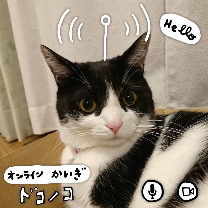435ebae7 5518 416f b198 e88f561fb783 1590757255422
