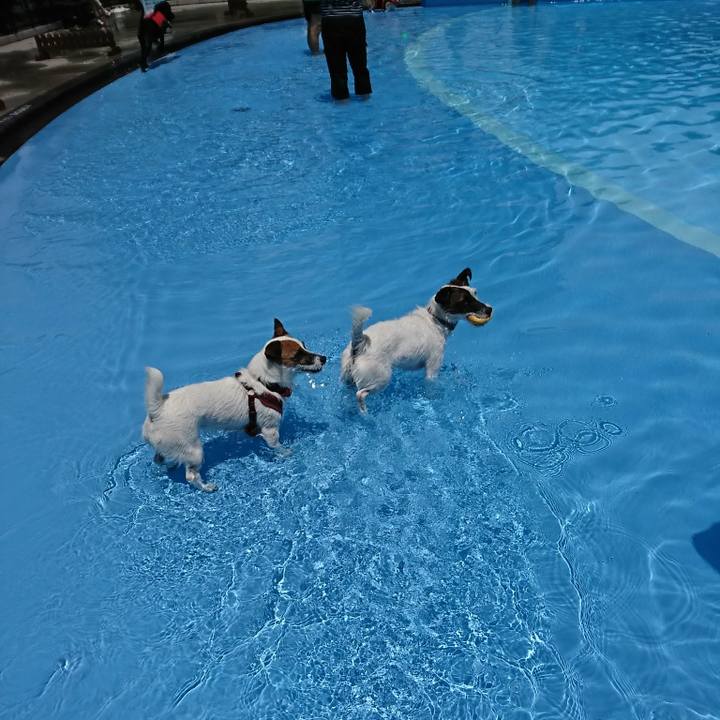 435ebe20 6bda 4281 b4aa 0fbfc40d123c 1530605402934