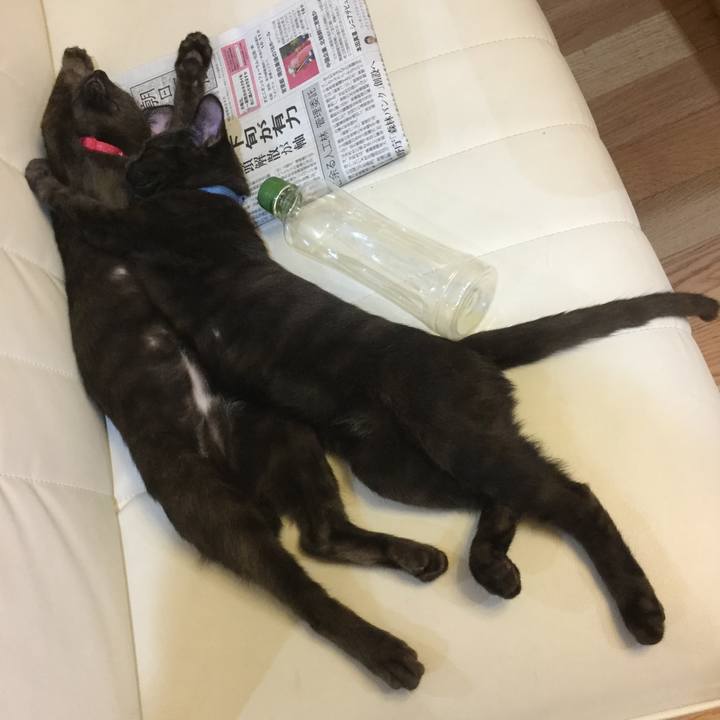 435edf24 d59c 47bc 8275 7b738892f7d1 1558949233339