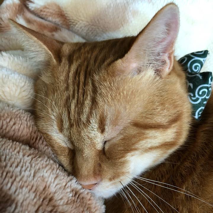 435f53e1 4942 4485 8e1a 26c7a8d839a4 1559681073367