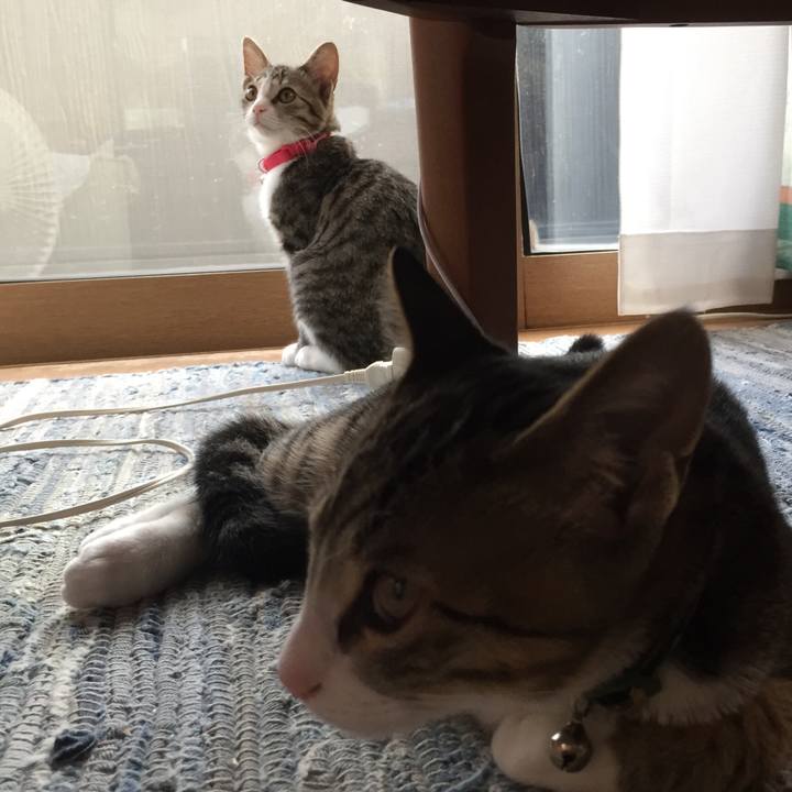 435f6643 748e 4f60 9c8e 568552113707 1658369011475