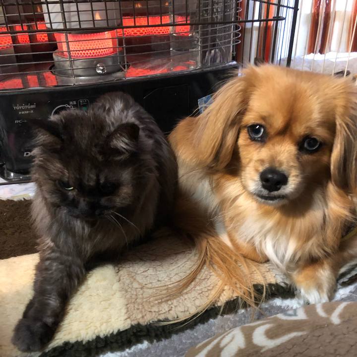 435fb19b 7b3d 40f5 af5f 869741ee0ee6 1550873308954