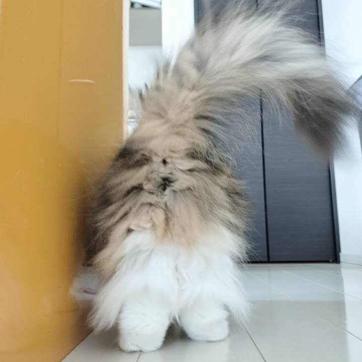 435fb795 d545 4ea1 a96d 988a1a1fc64b 1770247576498