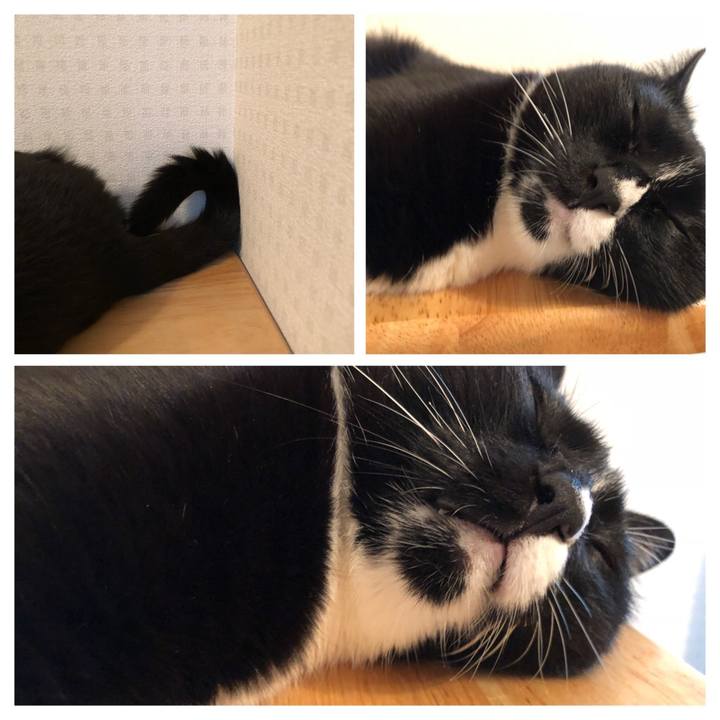 435fbb7f 813c 482e a271 b41cbe44d917 1530411674422