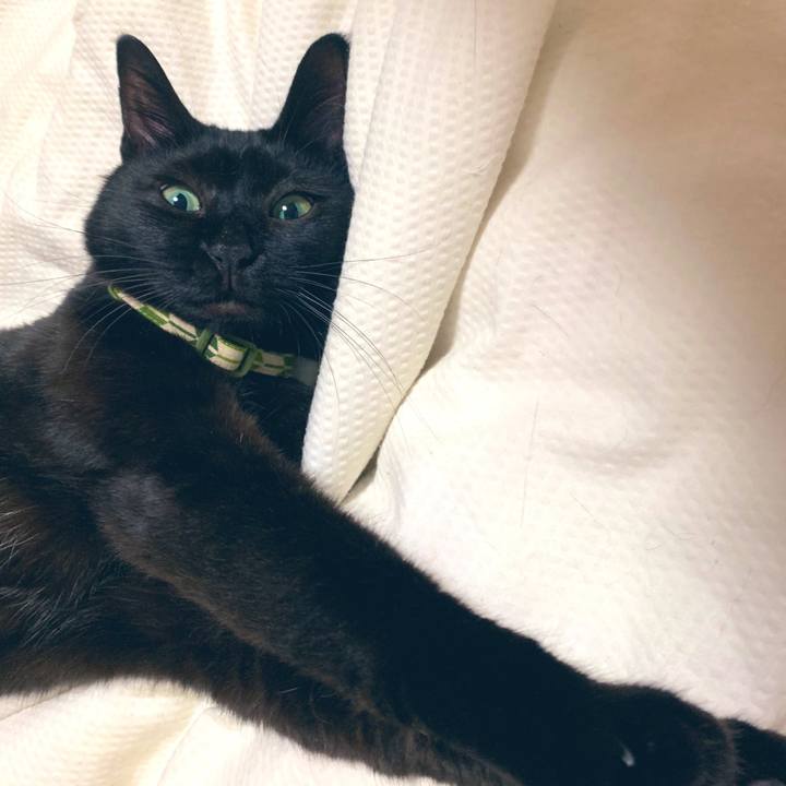 435feeef d357 4373 90dc a3686e71f1bc 1568346119814