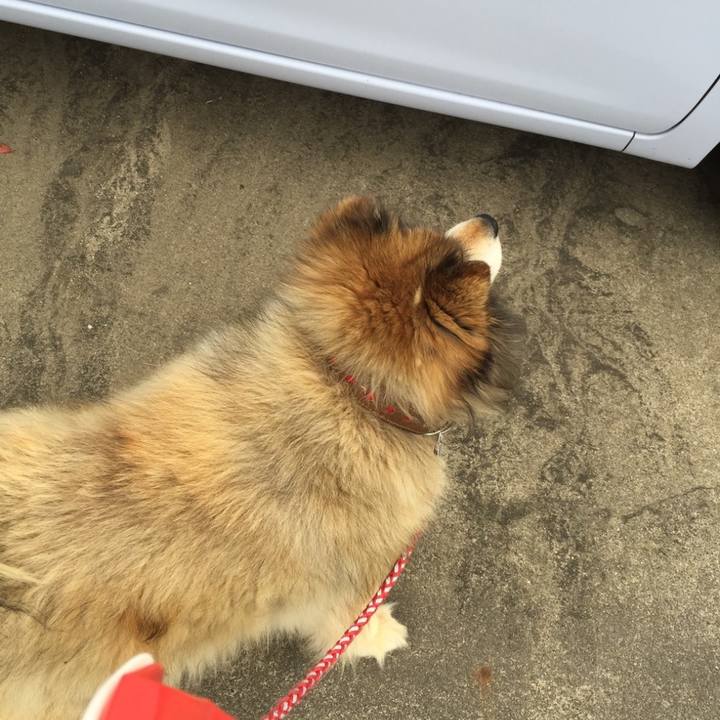 435ff407 843a 4e8e 96ea bbff2fdb1960 1631934926793