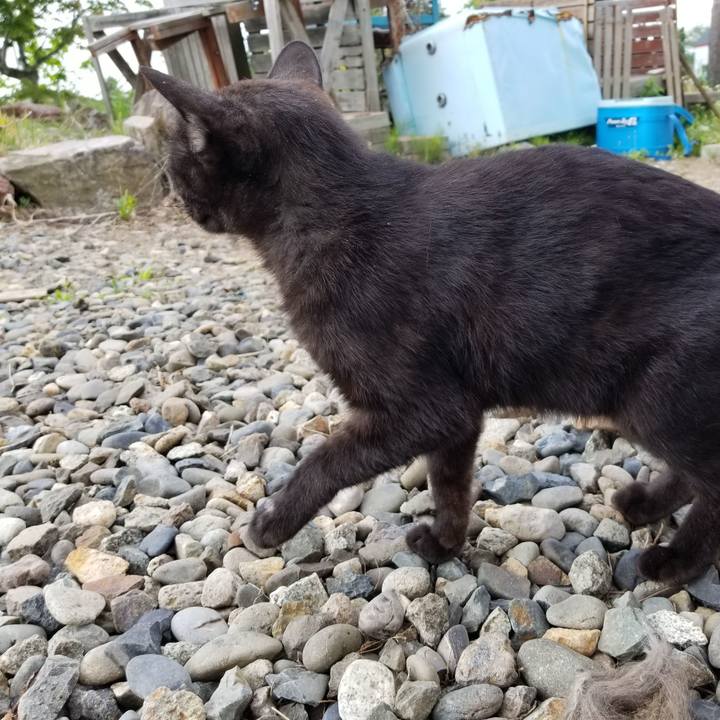 435ff8fb d9a1 47be 9767 a8353b857fab 1591364829679