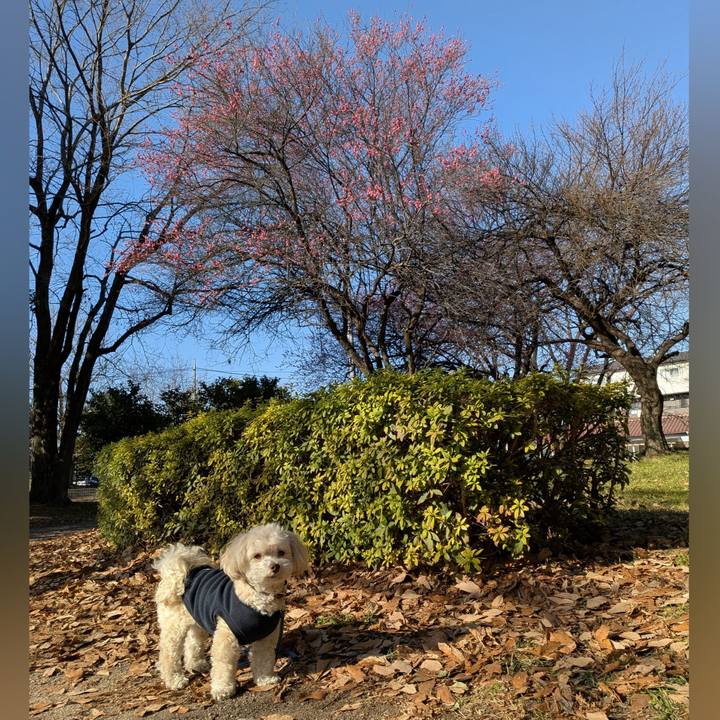 43601fb7 d237 4432 98b6 b78376a1f8c6 1768625712386