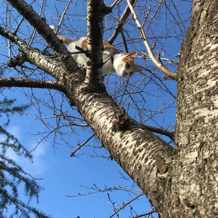 4360295f 19c0 4962 87fc 5e0fe83bede3 1512464845697