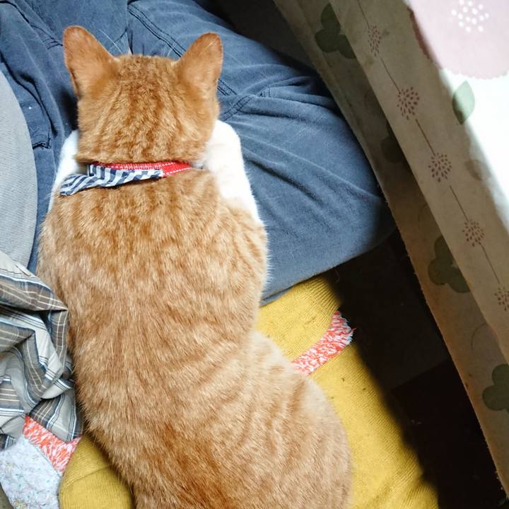 4360473c 8d9d 4b7b abb7 a55a6f52c322 1570868607351