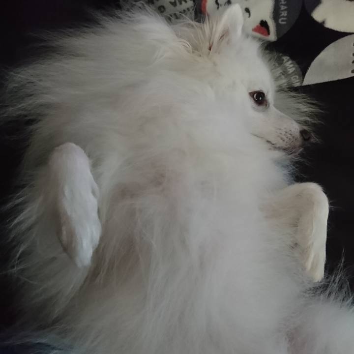 436085e9 a8a7 44dd 9f4e 994393dea743 1601009646070