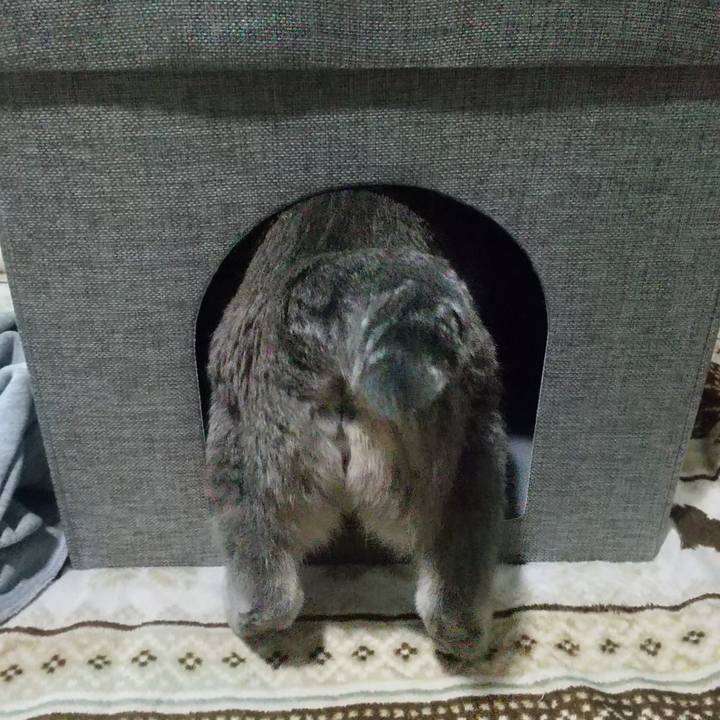 4360b0ed b5ab 48e6 9289 52418d90719d 1667043102891