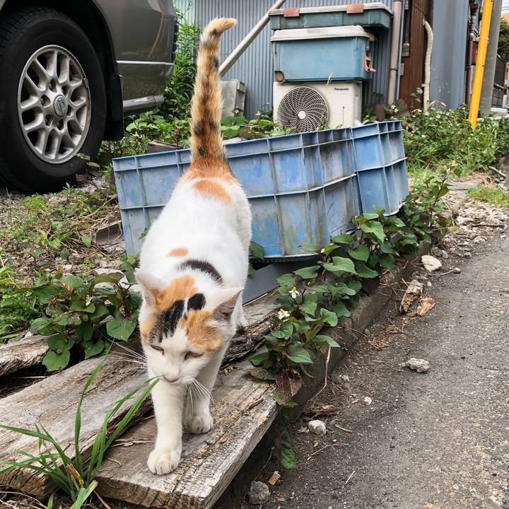 4360cc3c bf98 4113 842b 5a9859cd4df4 1527497130430