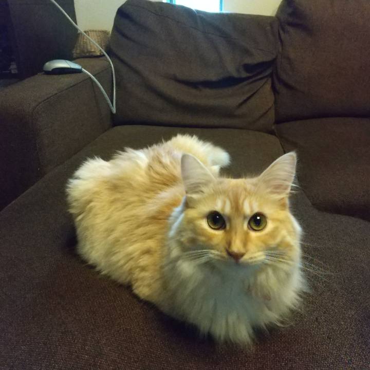 436113cb c256 4606 9a1d 9151d48c1b09 1628912380847