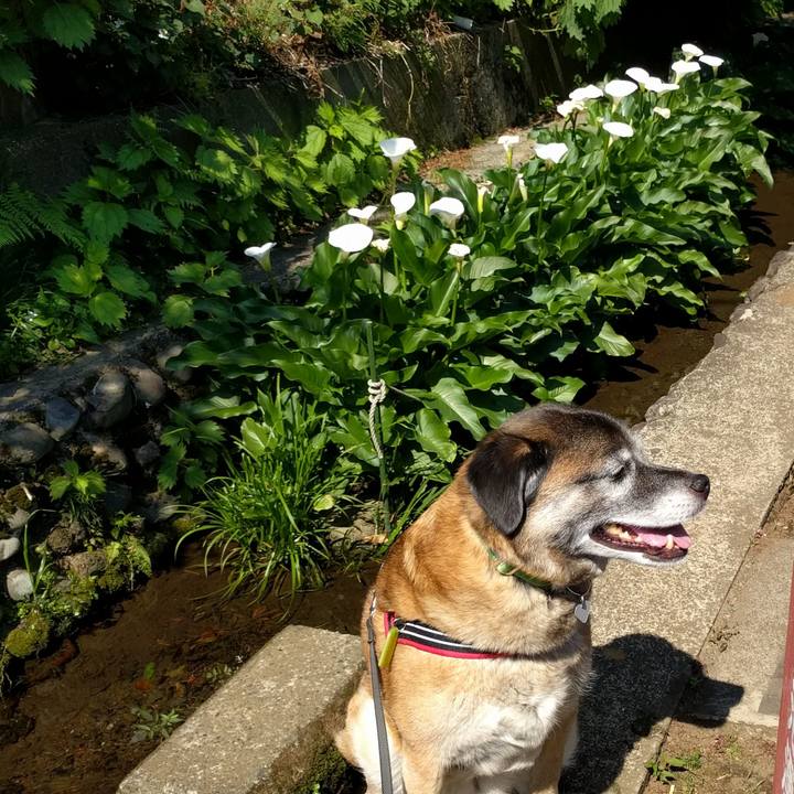 436124fc 92bb 43b1 9247 3a57e3e8ccc2 1526954079661