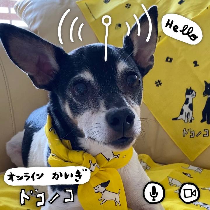 43615547 5a50 410f 8959 e1f04653329e 1590809523291